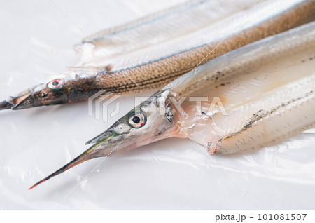 細長い魚 サヨリの開き 細長い魚 サヨリの開き 101081507