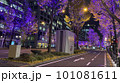 イルミネーションが煌めく街並み 101081611