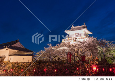 (静岡県)桜満開の浜松城 ライトアップ (静岡県)桜満開の浜松城 ライトアップ 101081633