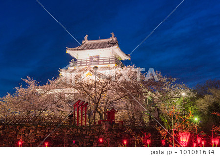 （静岡県）桜満開の浜松城　ライトアップ 101081634