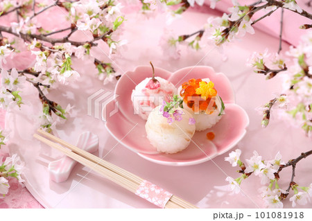 お花見手まり寿司 啓翁桜 お花見手まり寿司 啓翁桜 101081918