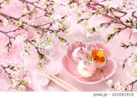 お花見手まり寿司 啓翁桜 お花見手まり寿司 啓翁桜 101081919