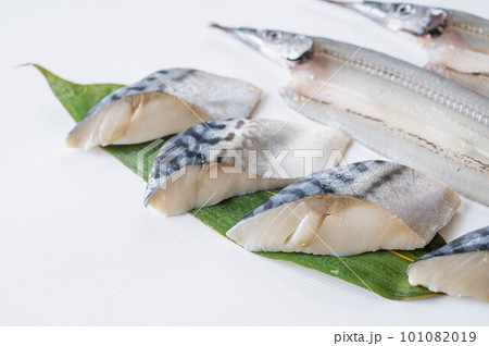 鯖の切り身とサヨリ 鯖の切り身とサヨリ 101082019