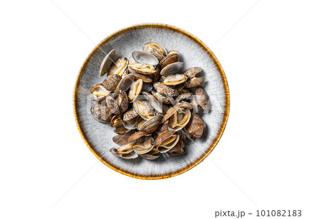 Steamed cooked shells Clams vongole in a plate with herbs. Isolated on white background. Steamed cooked shells Clams vongole in a plate with herbs. Isolated on white background. 101082183