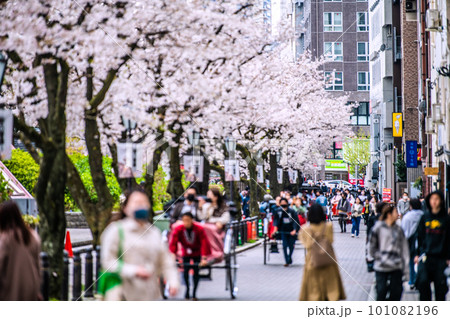 日本の東京都市景観　人力車など観光客で賑わう隅田公園よこの助六通りなどを望む＝3月29日 101082196