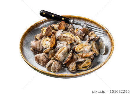 Steamed cooked shells Clams vongole in a plate with herbs. Isolated on white background. 101082296