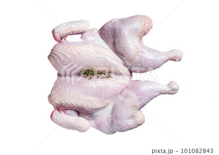 Raw spatchcock chicken meat with garlic and thyme. Isolated on white background. Raw spatchcock chicken meat with garlic and thyme. Isolated on white background. 101082843
