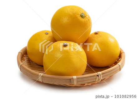 柑橘類のフルーツ、美生柑 101082956