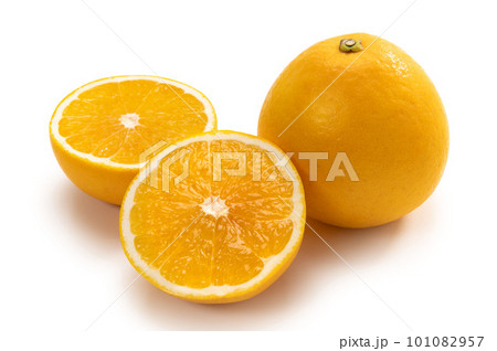 柑橘類のフルーツ、美生柑 101082957