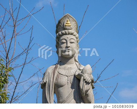 千葉県柏市 布施弁天東海寺の布施観音像 千葉県柏市 布施弁天東海寺の布施観音像 101083039
