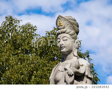 千葉県柏市 布施弁天東海寺の布施観音像 千葉県柏市 布施弁天東海寺の布施観音像 101083042