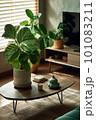 観葉植物のあるリビング 101083211
