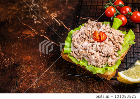 Seafood Toast with Canned Tuna fish fillet and lettuce. Dark background. Top view. Copy space 101083825