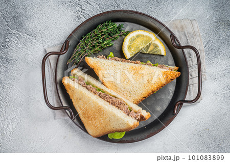 Tuna Salad Sandwich with Cheese, lettuce and herbs. White background. Top view 101083899