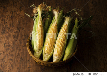 とうもろこし　集合 101084056