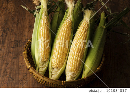 とうもろこし　集合 101084057