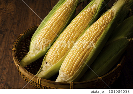 とうもろこし　集合 101084058