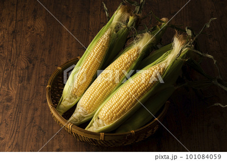 とうもろこし 集合 とうもろこし 集合 101084059