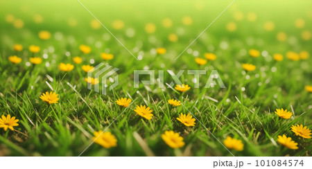 Spring landscape with grass and flowers 101084574