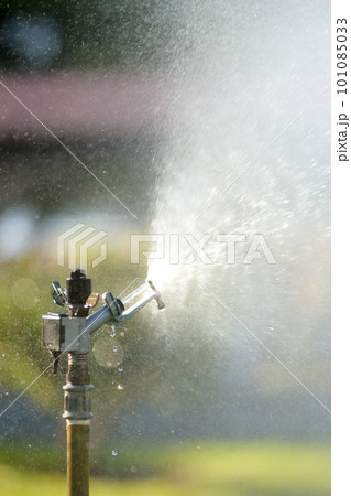 Vertical photo of garden sprinkler in sunny backyard. 101085033