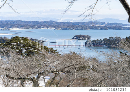 冬の日本三景 松島 冬の日本三景 松島 101085255