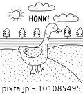 Goose saying honk black and white print. Cute farm character on a green pasture making a sound 101085495