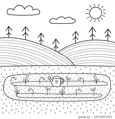 Black and white field landscape with a garden bed in cartoon style. Summer background 101085502
