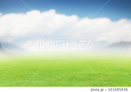 Lush green summer landscape with field and sky Lush green summer landscape with field and sky 101085636