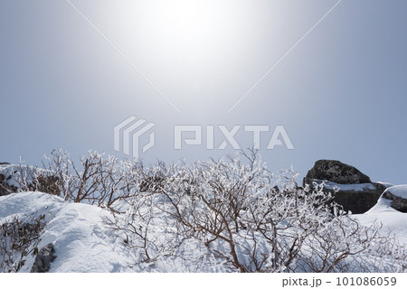 長野県南佐久郡の残雪期の日本百名山の金峰山の千代ノ吹上付近の雨氷と朝日 101086059