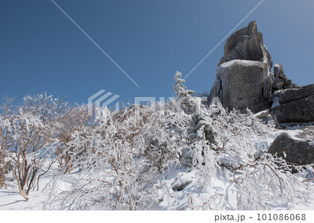 長野県南佐久郡の残雪期の日本百名山の金峰山の千代ノ吹上付近の雨氷と朝日 101086068