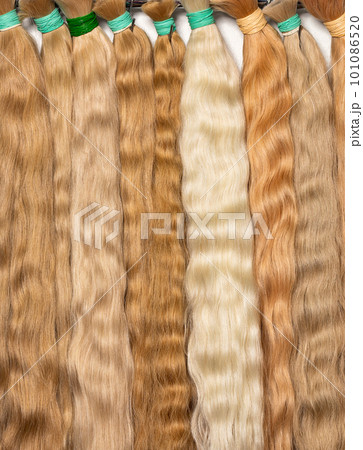 Wavy buns of straw-colored human hair for creating hairstyles. Vertical image. Closeup. 101086520