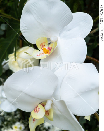 Closeup of the white artificial orchid on the bouquet. Closeup of the white artificial orchid on the bouquet. 101087618