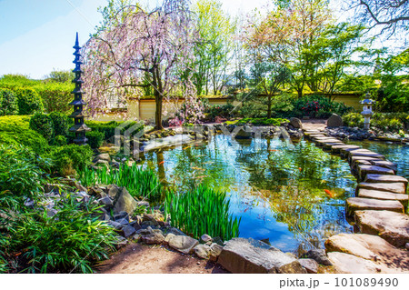 Idyllic Japanese garden in April in Kaiserslautern 101089490