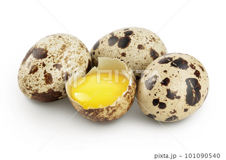 Raw quail egg isolated on white background with full depth of field 101090540
