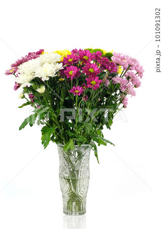 Beautiful bouquet of bright chrysanthemum flowers in a vase isolated on white 101091302