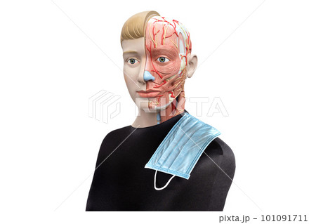 Concept of medicine and healthcare, idea for your advertisement. Mannequin isolated on white. 101091711