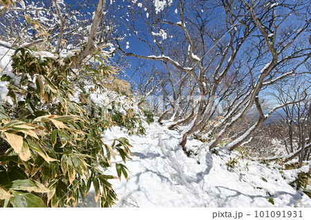 残雪期の那須岳登山道の風景 残雪期の那須岳登山道の風景 101091931