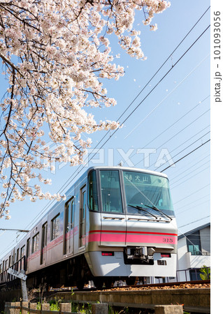 【名鉄小牧線】桜咲く小牧線沿線 101093056