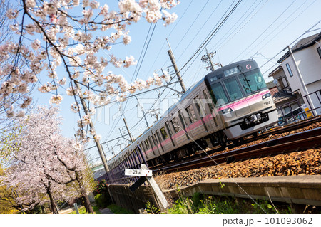 【名鉄小牧線】桜咲く小牧線沿線 【名鉄小牧線】桜咲く小牧線沿線 101093062