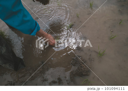 Agriculture Agriculture 101094111