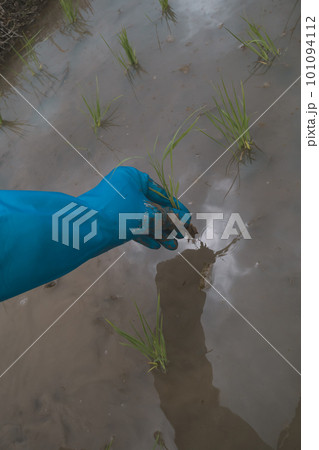 Agriculture Agriculture 101094112