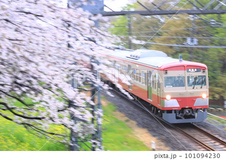 春雨が降る西武多摩川線を疾走する101系「赤電」電車_2023/3/25撮影 春雨が降る西武多摩川線を疾走する101系「赤電」電車_2023/3/25撮影 101094230
