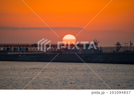 【京浜島つばさ公園からの日の出】 101094837