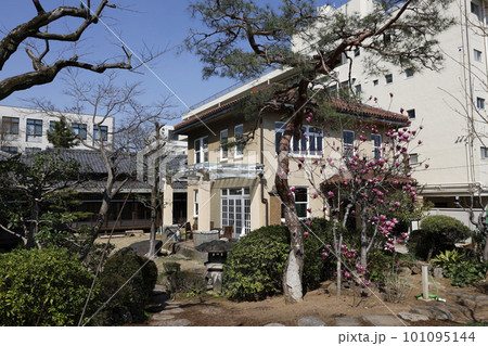 文化のみち橦木館(旧井元為三郎邸) 文化のみち橦木館(旧井元為三郎邸) 101095144