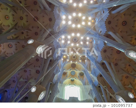 サグラダ・ファミリア内部～天井・柱～(スペイン-バルセロナ) 101095737