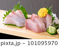 刺身 101095970