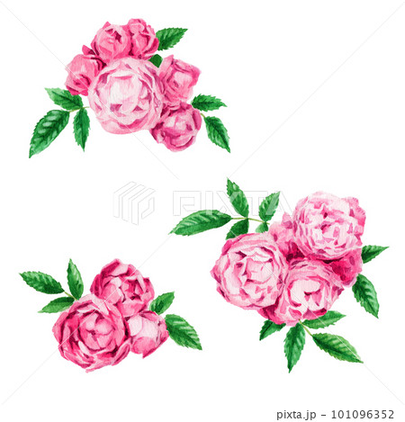 アナログ水彩ピンクのミニバラ 101096352
