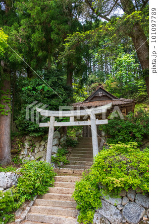田舎にひっそりと建つ神社（兵庫県豊岡市但東町：若宮神社） 101097789