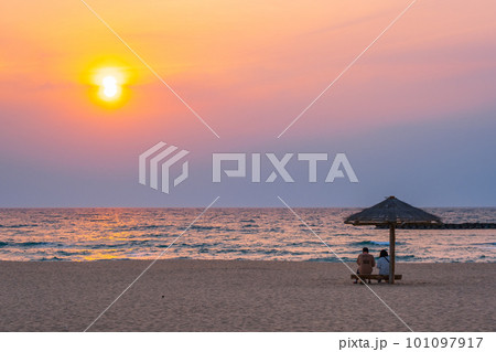 夕日ヶ浦海岸 夕日ヶ浦海岸 101097917