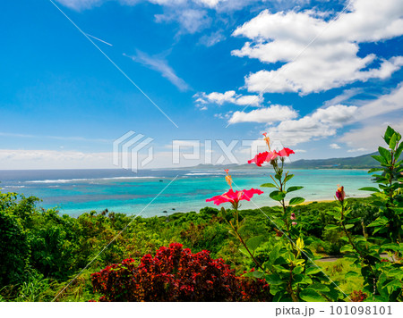 ハイビスカスと海 ハイビスカスと海 101098101